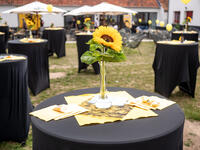 Groot Zomerfeest 2025
