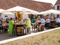Groot Zomerfeest 2025