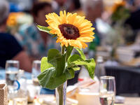 Groot Zomerfeest 2025
